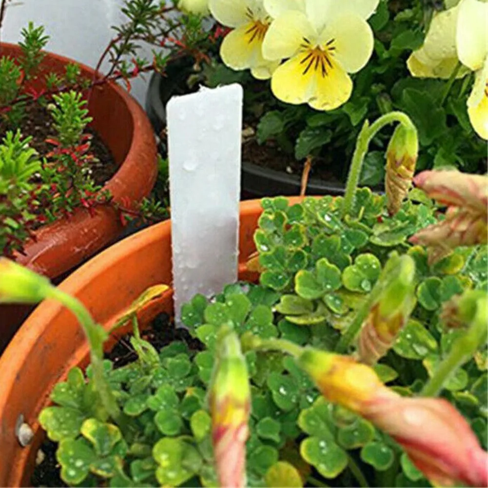 100 бр. етикети за растения, бели водоустойчиви, не чупливи пластмасови градински етикети, за да напомнят за градински растения3