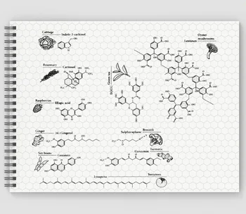 Hexagonal график на биологични и биохимични линия, на хартиен бележник, графика, тетрадка за лабораторни упражнения, график и навити на лигавицата бележника